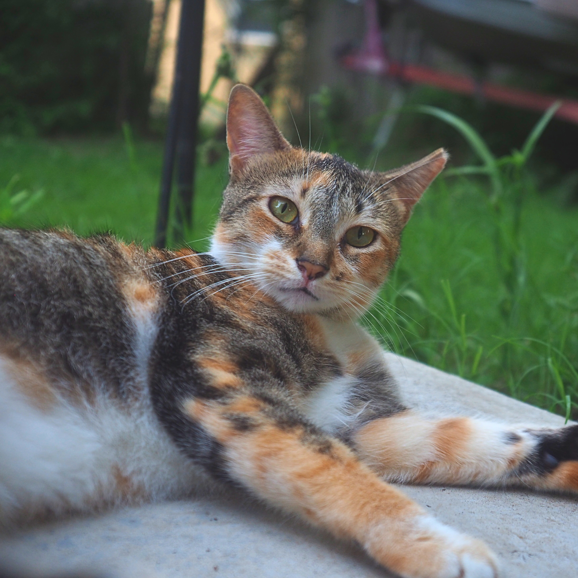 Luna